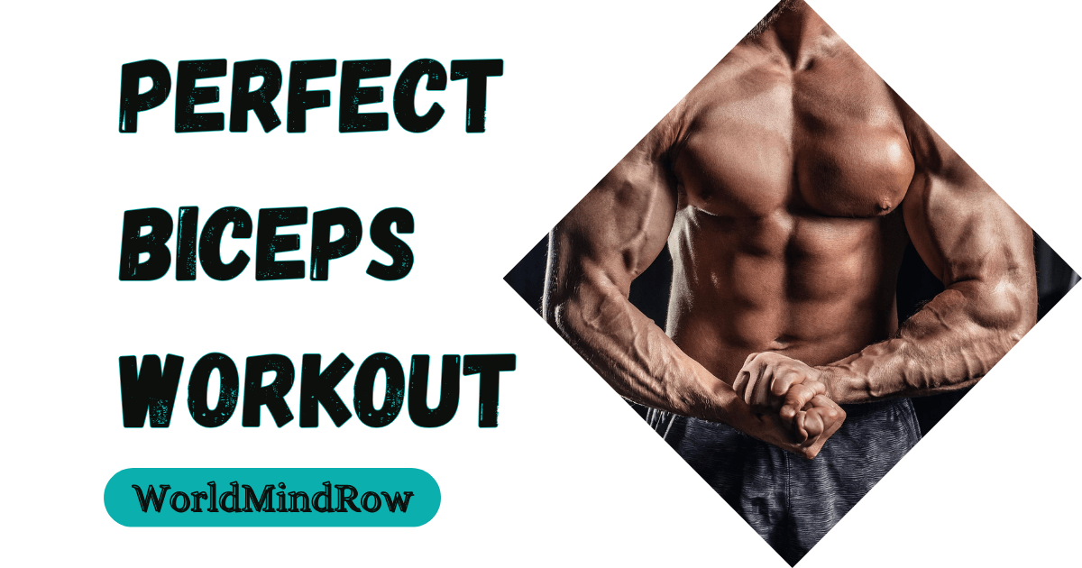 perfect-biceps-workout